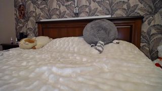 Odessa Ukraine Slut Yana Chala lazy lay around whore