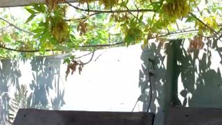 Little_mia webcam show 2020-03-07_16-39-54_799