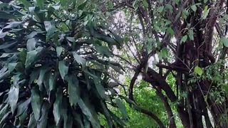 Candacexxhot webcam show 2020-03-07_22-13-26_252