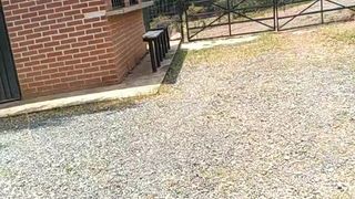 Taniasex4 webcam show 2020-03-11_18-00-09_566