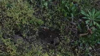 Intrigante66 webcam show 2020-03-07_14-07-26_827