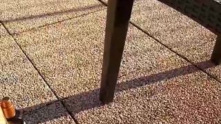 Intrigante66 webcam show 2020-03-11_17-03-33_743