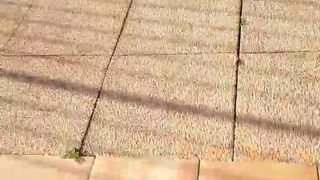 Intrigante66 webcam show 2020-03-11_17-03-33_743