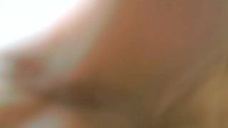 asiafox 10