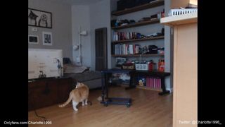 charlotte1996 _March-15-2020_Cam Show 1of9