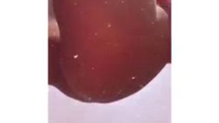 Anto Pane - nueva temporada