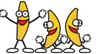 4|\/|y\/4|3|\|T!|\|3 2020-01-24 003