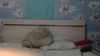 Rachou1 webcam show 2020-03-15_22-20-03_499