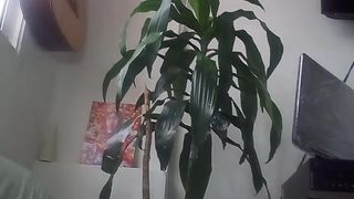 Janehxc webcam show 2020-03-13_19-54-00_997