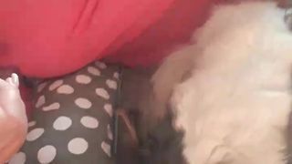 Nadia_blonde webcam show 2020-03-18_06-45-49_592