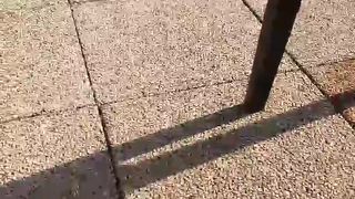 Intrigante66 webcam show 2020-03-16_15-30-39_102