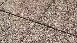 Intrigante66 webcam show 2020-03-13_16-04-34_255