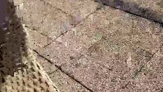 Intrigante66 webcam show 2020-03-13_16-04-34_255