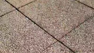 Intrigante66 webcam show 2020-03-13_16-04-34_255