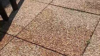 Intrigante66 webcam show 2020-03-16_14-32-58_751