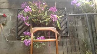 Lucythealien webcam show 2020-03-12_22-52-49_907