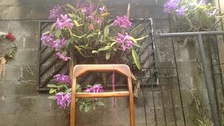 Lucythealien webcam show 2020-03-12_22-52-49_907