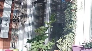 Lauriehot webcam show 2020-03-14_17-03-21_975