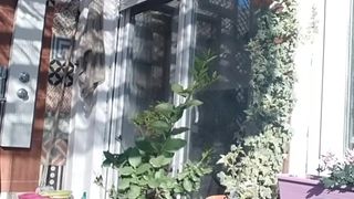 Lauriehot webcam show 2020-03-14_17-03-21_975