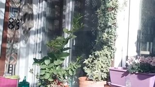 Lauriehot webcam show 2020-03-14_17-03-21_975