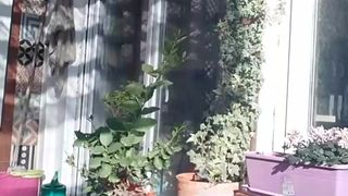 Lauriehot webcam show 2020-03-14_17-03-21_975