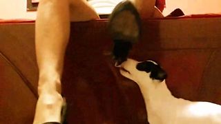 Bianca0202 webcam show 2020-03-12_11-45-16_327