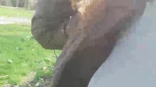 Lolisarah webcam show 2020-03-17_13-11-00_219