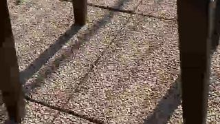 Intrigante66 webcam show 2020-03-13_16-22-58_101