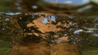 CORSICA EXPLICIT NUDIST