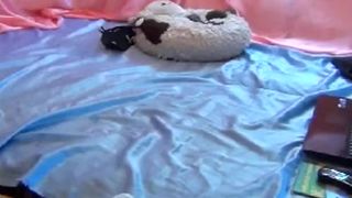 Kotja fists and dildos her ass
