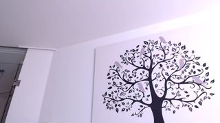 li_chang 2020-03-26 4