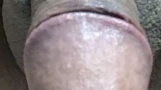 恥ずかしい変態おちんちん