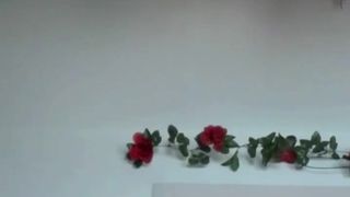 Makaylacortez pantyless dance