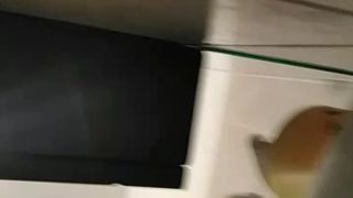 True_vega webcam show 2020-03-30_18-32-32_363