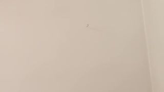 Fioredifica webcam show 2020-03-19_11-42-20_726