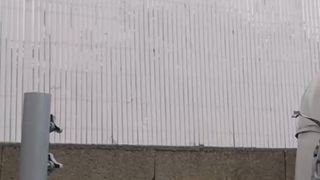 Framboise6 webcam show 2020-03-31_15-25-57_123