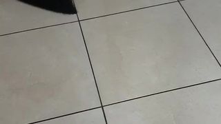 Intrigante66 webcam show 2020-03-27_16-59-58_164