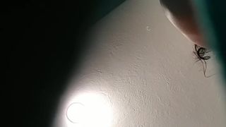 True_vega webcam show 2020-03-24_08-36-30_999