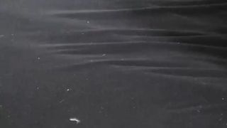 Jungespaarhot webcam show 2020-03-26_16-48-21_880