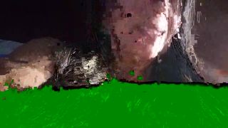 Cjpq2525 webcam show 2020-03-27_04-39-20_848