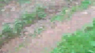 Thescerry webcam show 2020-03-20_16-31-47_943