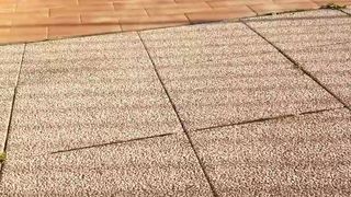 Intrigante66 webcam show 2020-03-19_17-09-09_433