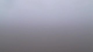 Leonessafree webcam show 2020-03-28_05-51-15_671