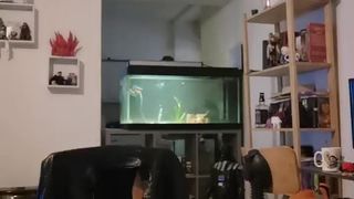 Rachou1 webcam show 2020-03-20_10-36-29_031