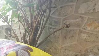 Lolisarah webcam show 2020-03-20_13-34-17_505