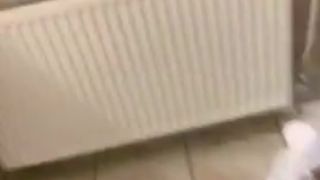 Ellieleen1 (aka ellieleen11, ellieleen, elliemayli) with her whores in toilet OnlyFans private video