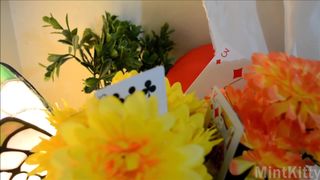 Forest_Nymph - Follow the white rabbit