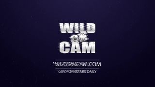 Dillion Harper plays with toys. fucks on cam