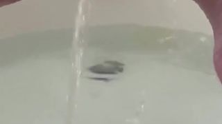 TiffanyWatson-short-pee-in-bath