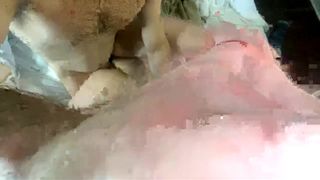 Jaxxxs2828 chaturbate fuck 2020-04-26